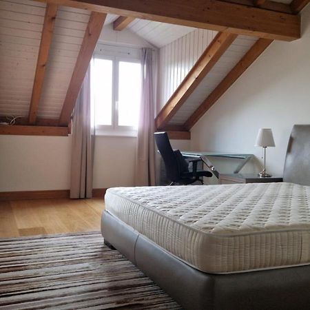 Penthouse In Cologny Switzerland Apartment Geneva Exterior photo