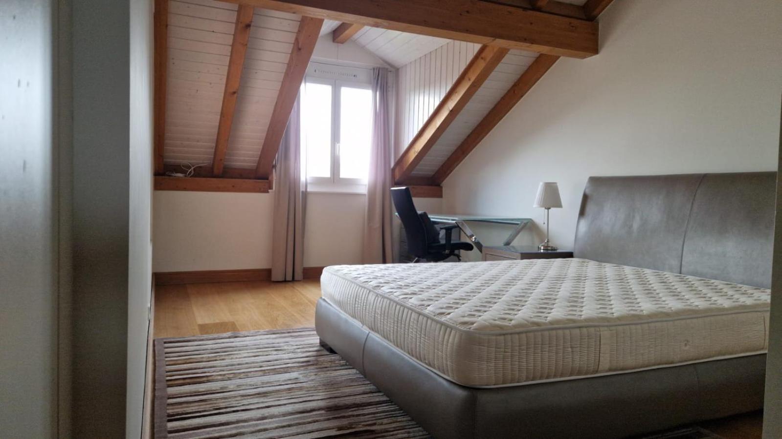 Penthouse In Cologny Switzerland Apartment Geneva Exterior photo